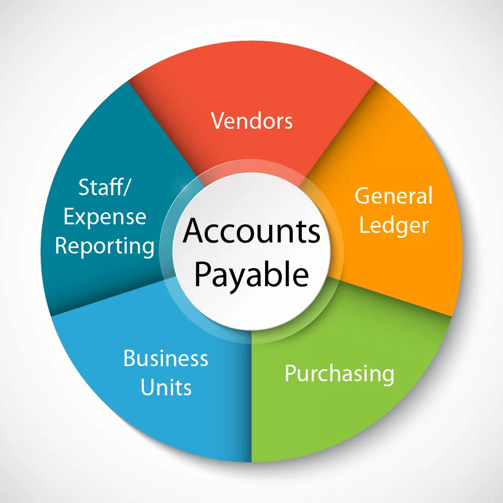 Accounts Payable audit