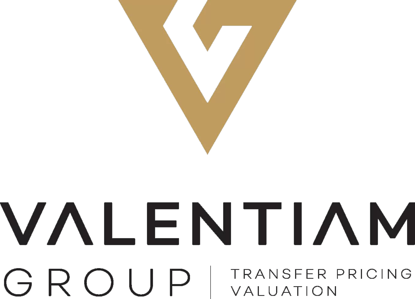 Valentiam Group Logo
